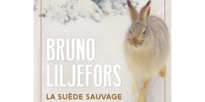 Bruno Liljefors. La Suède sauvage 