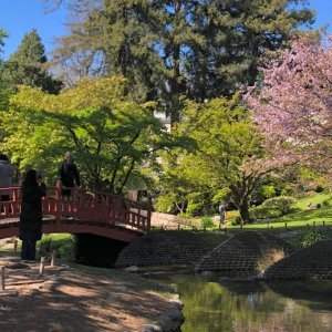 Albert Kahn : musée et jardin