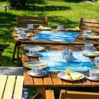 Bibliothèque tournante & déjeuner potluck