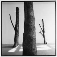 Arte Povera