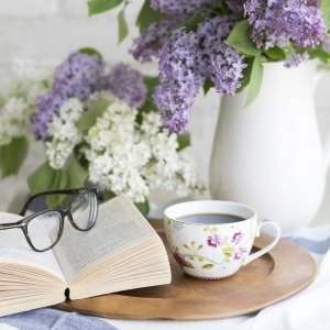 Bibliothèque tournante - Mardi 16 septembre de 10h00 à 12h00 Bibliothèque tournante