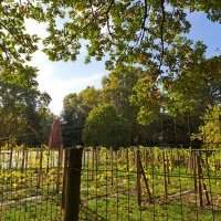 “Les Jardins de Bercy”