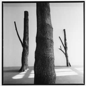 Arte Povera