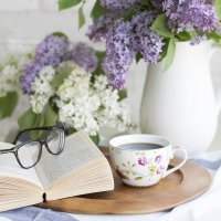 Bibliothèque tournante - Mardi 6 mai de 10h00 à 12h00 Bibliothèque tournante