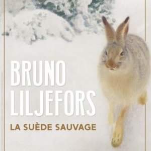 Bruno Liljefors : La Suède Sauvage