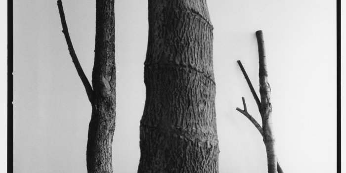 Arte Povera